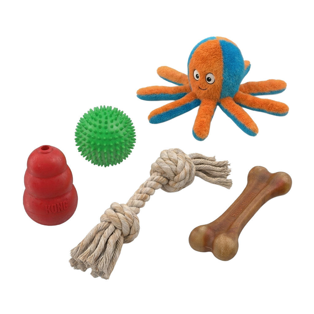 Set de juguetes para mascotas: pulpo, pelota, cuerda y hueso